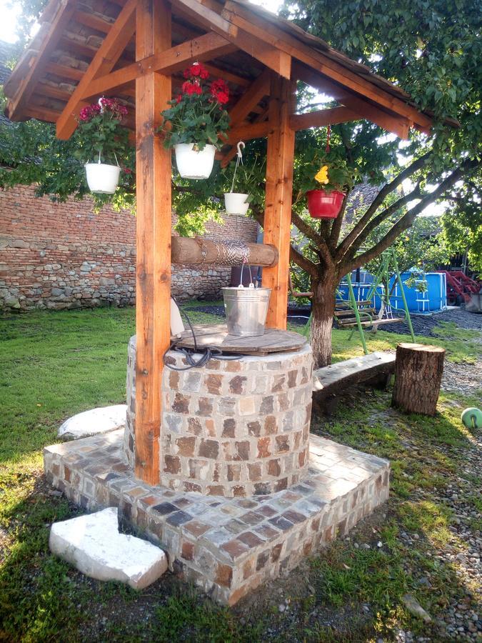 Hostal Casa Din Barcut Exterior foto