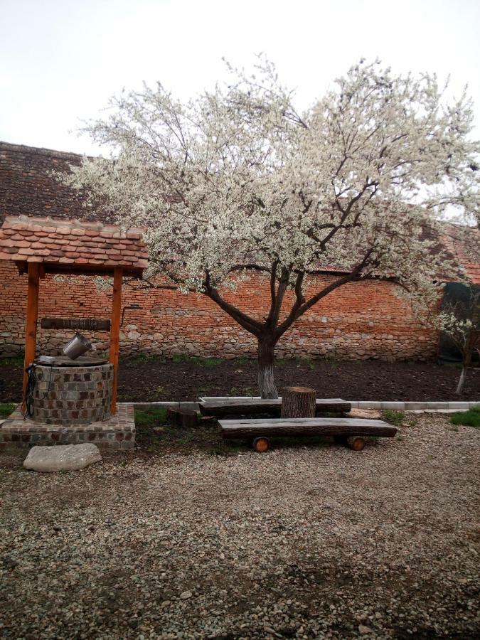 Hostal Casa Din Barcut Exterior foto